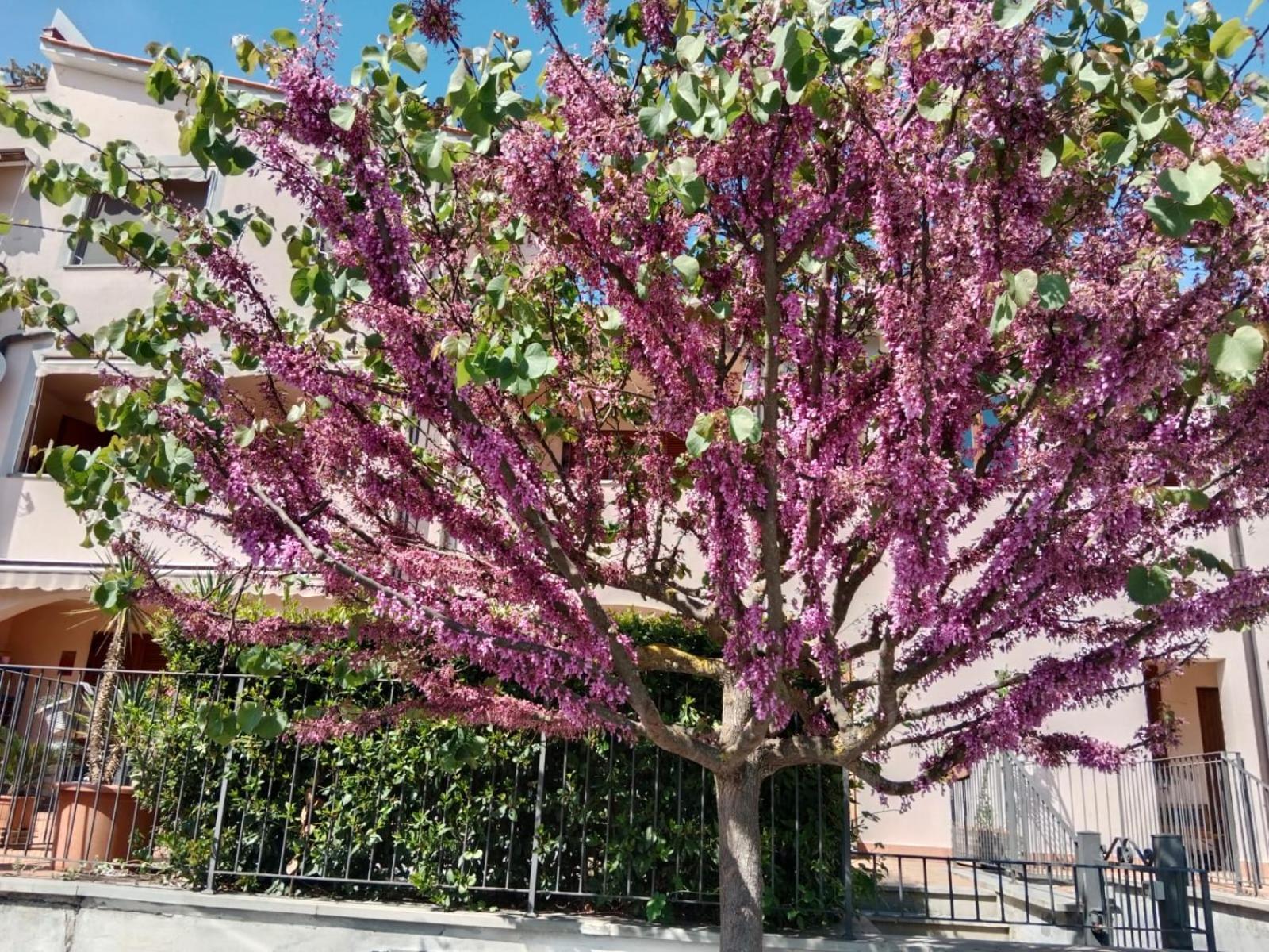 Via Della Musica Lägenhet Vicchio Exteriör bild